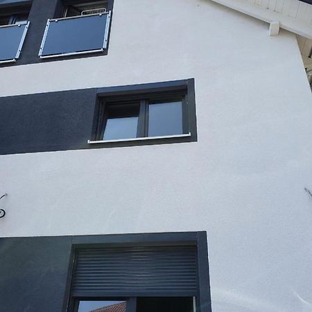 Bodensee Manolya Friedrichshafen Kültér fotó
